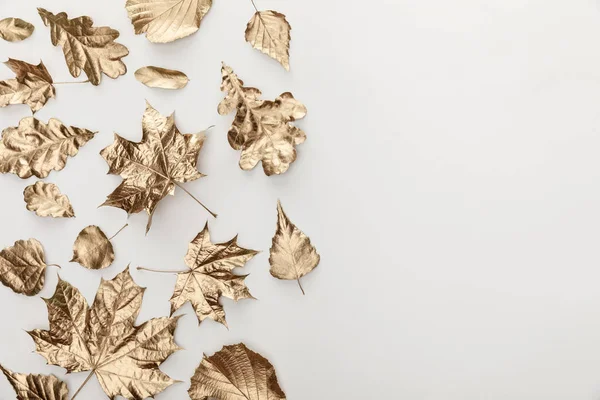 Вид сверху золотой листвы на белом фоне с копировальным пространством — стоковое фото
