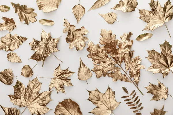 Вид зверху на золото пофарбоване автономне листя на білому тлі — стокове фото