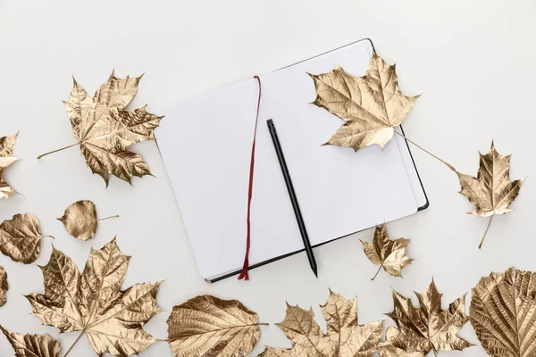 Vue du haut du feuillage doré près du carnet vierge avec crayon sur fond blanc — Photo de stock