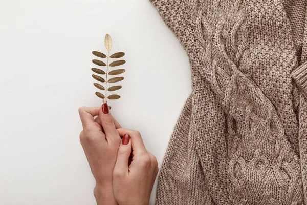 Cropped view of woman holding golden leaf near knitted brown sweater on white background — Stock Photo