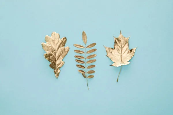 Верхний вид на осенние золотые листья на голубом фоне — стоковое фото