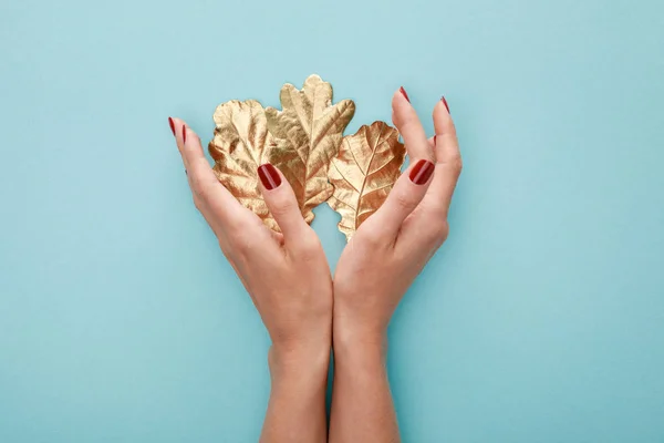 Cropped view of woman holding autumnal golden foliage on blue background — Stock Photo