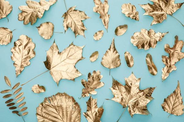 Верхний вид окрашенной осенней золотой листвы на голубом фоне — стоковое фото