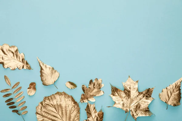 Vue de dessus du feuillage doré automnal coloré sur fond bleu — Photo de stock