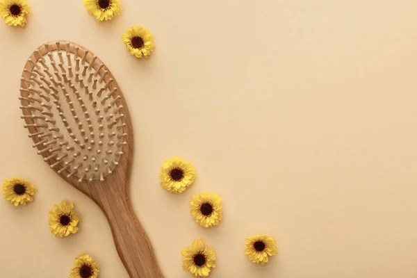 Vue du dessus de la brosse à cheveux sur fond beige avec des fleurs et de l'espace de copie — Photo de stock