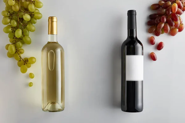 Верхний вид бутылок с вином рядом винограда на белом фоне — стоковое фото