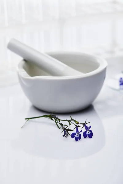 Selective focus of mortar with pestle near plant sample on white — Stock Photo