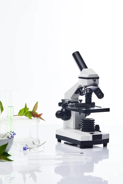 Tubos de ensayo de vidrio cerca de plantas y microscopio aislados en blanco - foto de stock