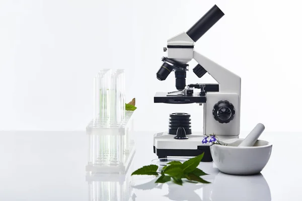 Provette di vetro, malta con pestello vicino alle piante e microscopio isolato su bianco — Foto stock