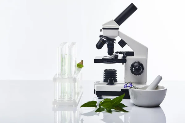 Glass test tubes, mortar with pestle near plants and microscope isolated on white — Stock Photo