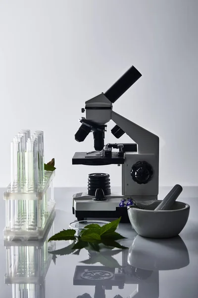 Provette di vetro, malta con pestello vicino alle piante e microscopio su fondo grigio — Foto stock