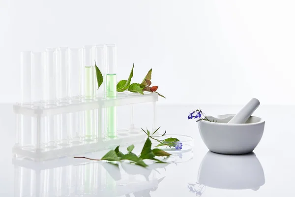 Reagenzgläser aus Glas, Mörtel mit Stößel in der Nähe von Pflanzen isoliert auf weiß — Stockfoto