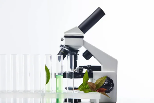 Tubos de ensayo de vidrio con líquido cerca de las plantas y microscopio aislado en blanco - foto de stock