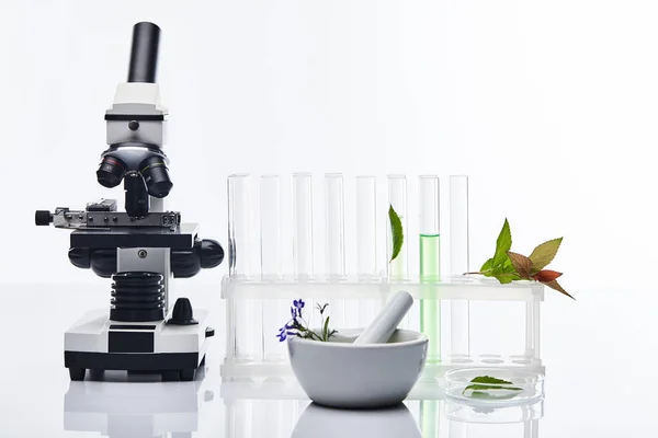 Reagenzgläser aus Glas, Mörtel mit Stößel in der Nähe von Pflanzen und Mikroskop isoliert auf weiß — Stockfoto