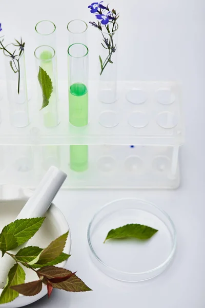 Reagenzgläser mit Flüssigkeit in Pflanzennähe und Mörser mit Stößel auf weißem Tisch — Stockfoto