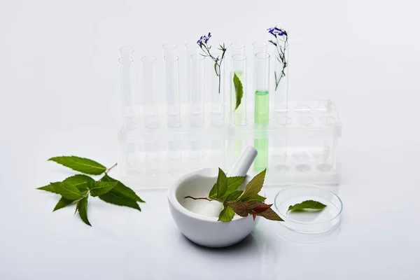 Glass test tubes with liquid near plants and mortar with pestle on white table — Stock Photo