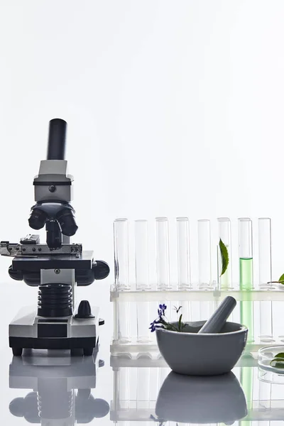 Glass test tubes, mortar with pestle near plants and microscope isolated on white — Stock Photo