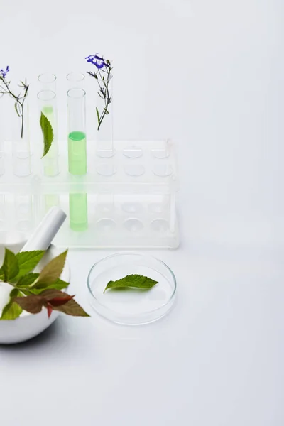 Tubes à essai en verre avec liquide près des plantes et mortier avec pilon sur table blanche — Photo de stock