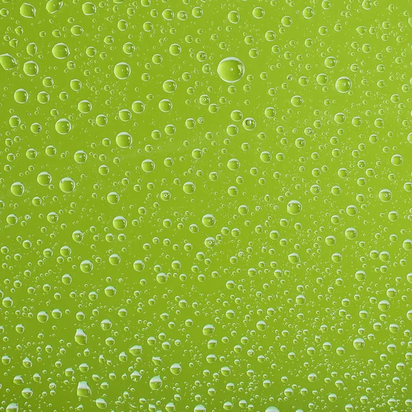 Clear transparent water drops on green background — Stock Photo