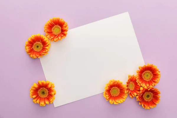 Vista superior de flores de gerberas anaranjadas y papel blanco en blanco sobre fondo violeta - foto de stock