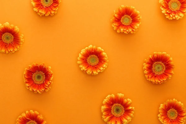 Vista superior de flores de gerberas sobre fondo naranja - foto de stock