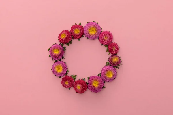 Wreath of purple asters on pink background with copy space — Stock Photo