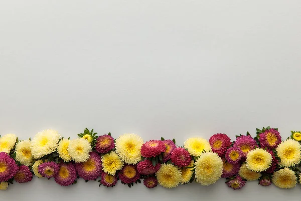 Vue de dessus des asters jaunes et violets sur fond blanc avec espace de copie — Photo de stock