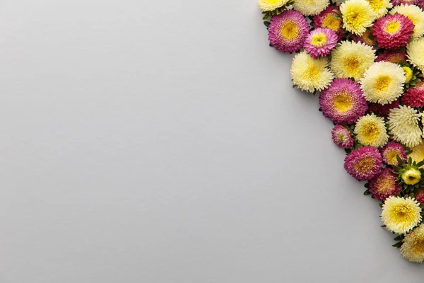 Draufsicht auf gelbe und lila Astern auf weißem Hintergrund mit Kopierraum — Stockfoto