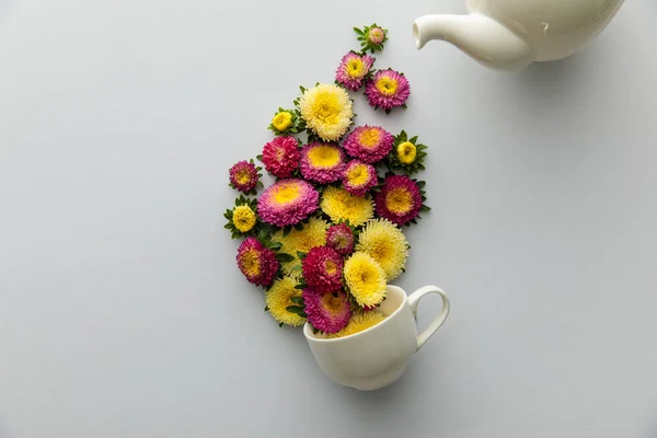 Top view of asters poring from teapot in cup on white background — Stock Photo