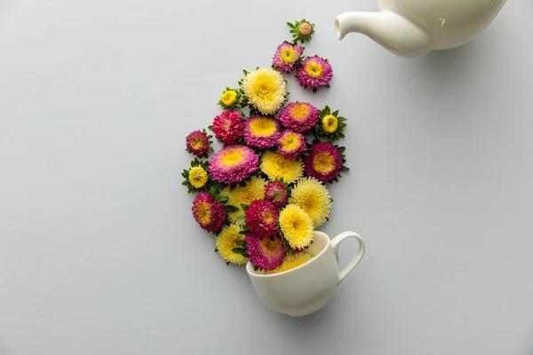 Vue de dessus des asters poring de théière dans la tasse sur fond blanc — Photo de stock