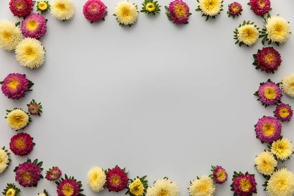 Vue de dessus des asters jaunes et violets sur fond blanc avec espace de copie — Photo de stock