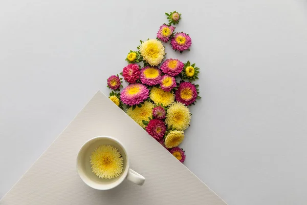 Vue de dessus des asters jaunes et violets, tasse et papier blanc sur fond blanc — Photo de stock