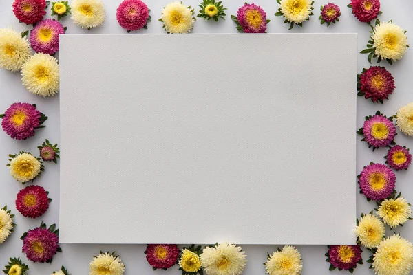 Top view of yellow and purple asters and blank paper on white background — Stock Photo