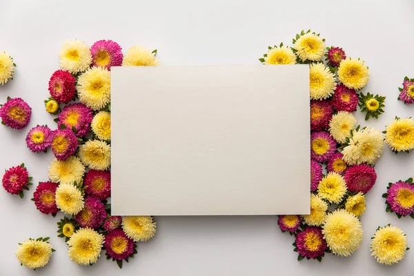 Вид зверху на жовті та фіолетові ромашкові квіти з чистим папером на білому тлі — стокове фото