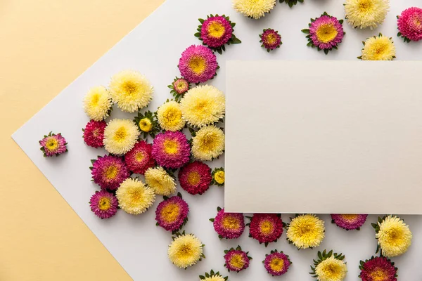 Вид зверху на жовті та фіолетові ромашкові квіти з чистим папером на білому та жовтому тлі — стокове фото