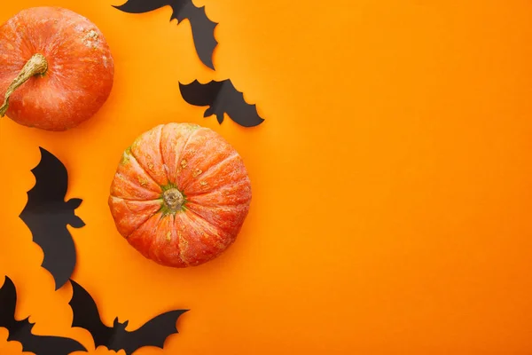Vista dall'alto della zucca, pipistrelli su sfondo arancione, decorazione di Halloween — Foto stock