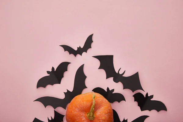 Vista superior de los murciélagos de calabaza y papel sobre fondo rosa, decoración de Halloween - foto de stock