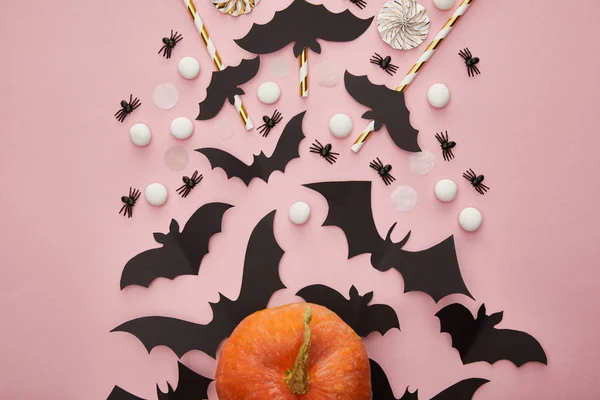 Top view of pumpkin, bats and spiders on pink background, Halloween decoration — Stock Photo