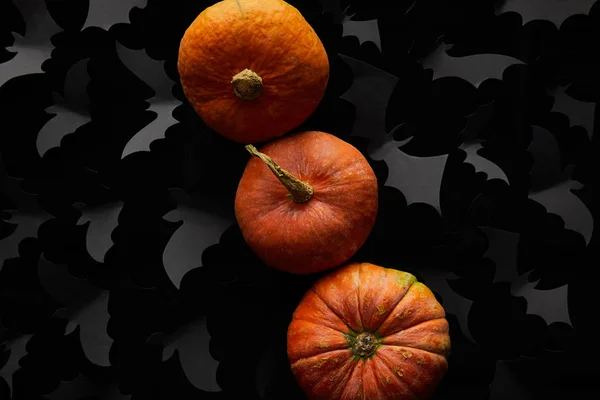 Draufsicht auf Kürbis und Papierfledermäuse auf schwarzem Hintergrund, Halloween-Dekoration — Stockfoto
