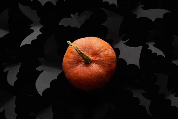 Top view of pumpkin and paper bats on black background, Halloween decoration — Stock Photo