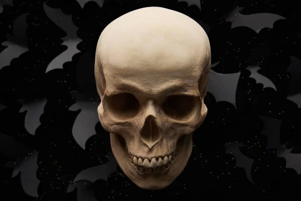 Papierfledermäuse und Totenkopf auf schwarzem Hintergrund, Halloween-Dekoration — Stockfoto