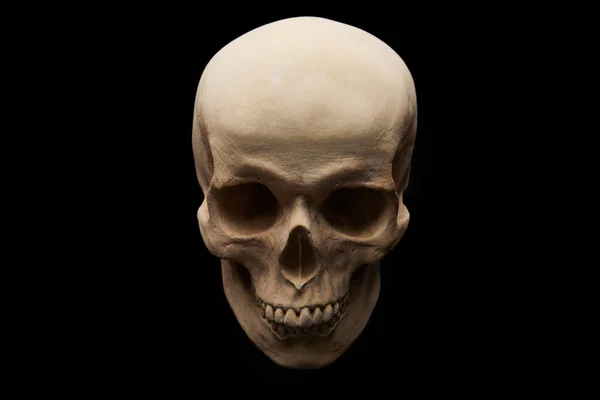 Gruseliger menschlicher Schädel isoliert auf schwarzer Halloween-Dekoration — Stockfoto