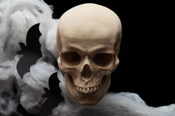 Bats and spooky skull isolated on black, Halloween decoration — Stock Photo