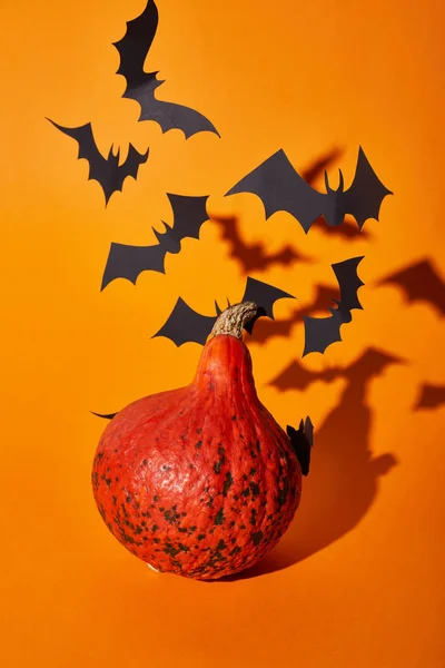 Kürbis- und Papierfledermäuse mit Schatten auf orangefarbenem Hintergrund, Halloween-Dekoration — Stockfoto