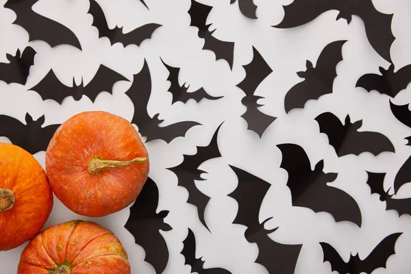 Vista superior de calabazas y murciélagos de papel sobre fondo blanco, decoración de Halloween - foto de stock