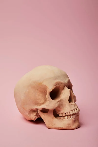 Gruseliger menschlicher Totenkopf auf rosa Hintergrund, Halloween-Dekoration — Stockfoto