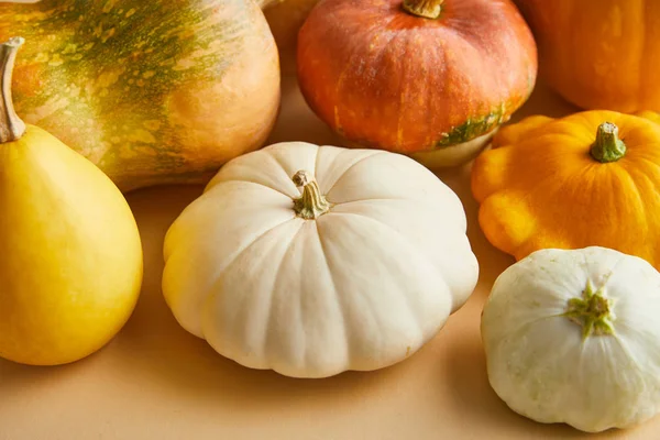 Calabazas coloridas enteras maduras sobre fondo beige - foto de stock