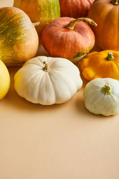 Ripe whole colorful pumpkins on beige background — Stock Photo