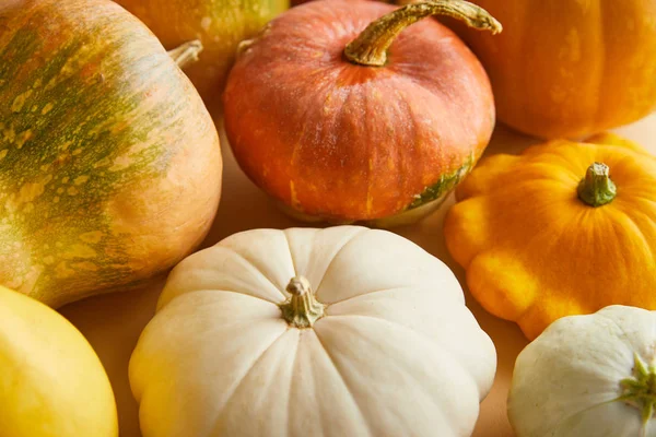 Calabazas coloridas enteras maduras en pila - foto de stock