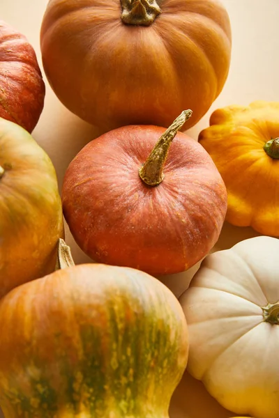 Citrouilles colorées entières mûres sur fond beige — Photo de stock